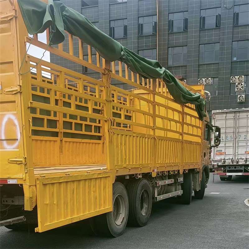 河北保定清苑县至宜宾货运专线一站式物流服务，让货物畅行无忧